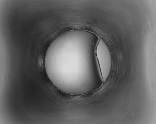 X0000099481155200805090827