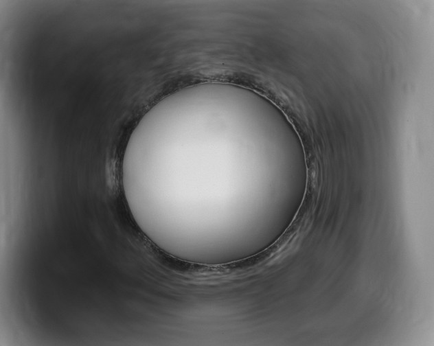 X0000099481156200805090827