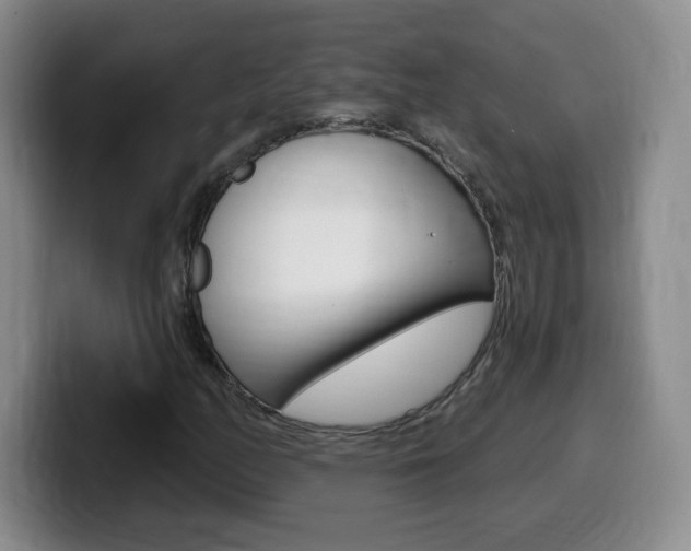 X0000099481158200805090827