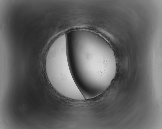 X0000099481160200805090827