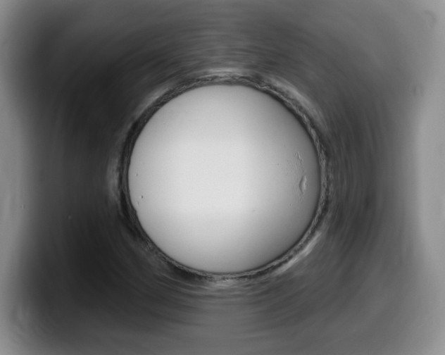 X0000099481162200805090827