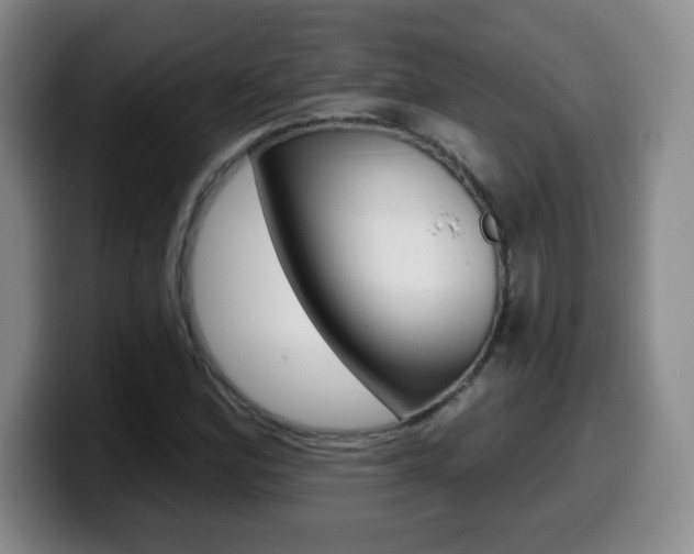 X0000099481164200805090827