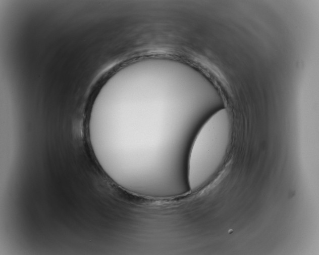 X0000099481166200805090827