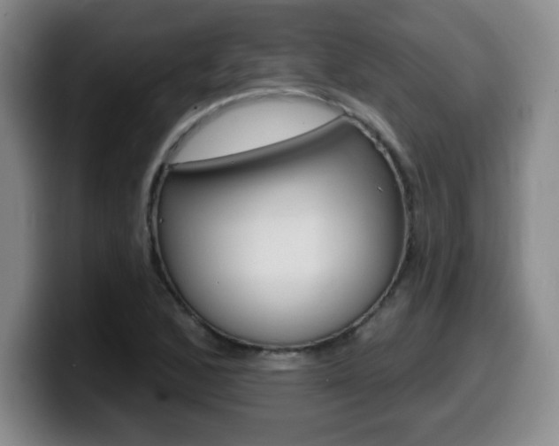 X0000099481168200805090827