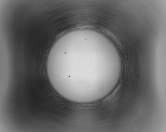 X0000099481169200805090827