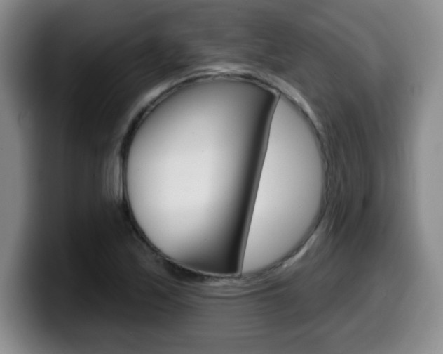 X0000099481171200805090827