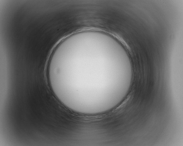 X0000099481173200805090827