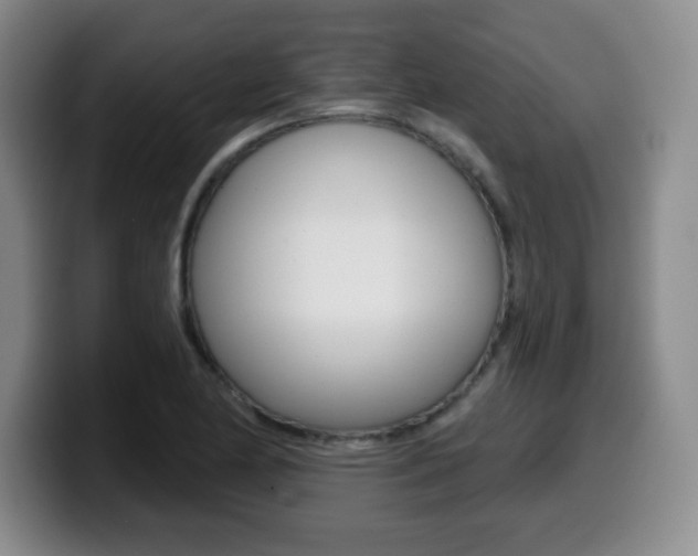 X0000099481174200805090827