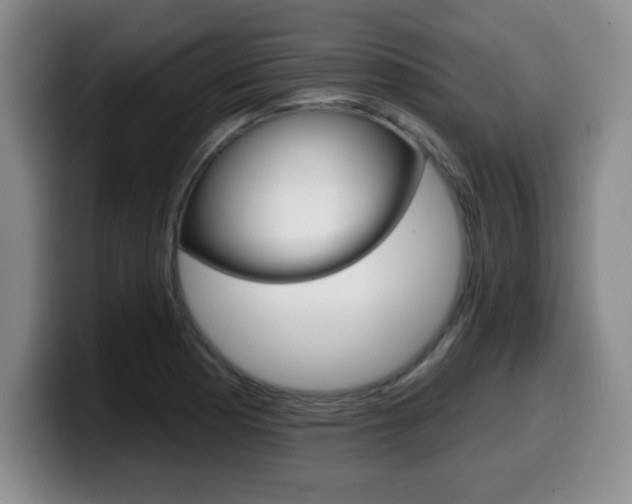 X0000099481177200805090827