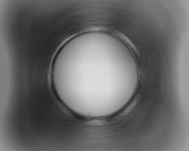 X0000099481178200805090827
