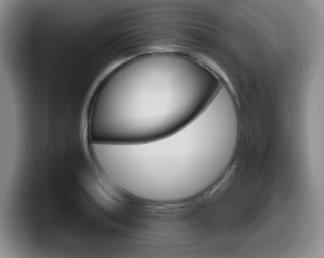 X0000099481179200805090827