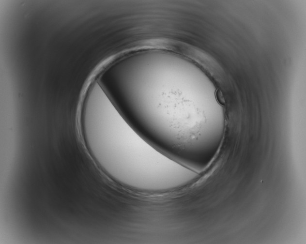 X0000099481180200805090827