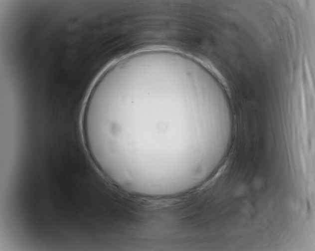 X0000099481181200805090827