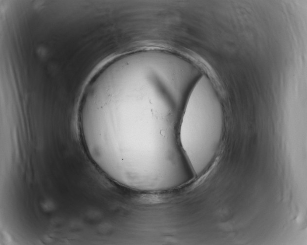 X0000099481182200805090827