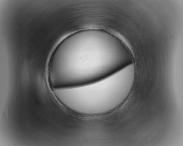 X0000099481187200805090827