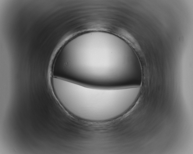 X0000099481188200805090827