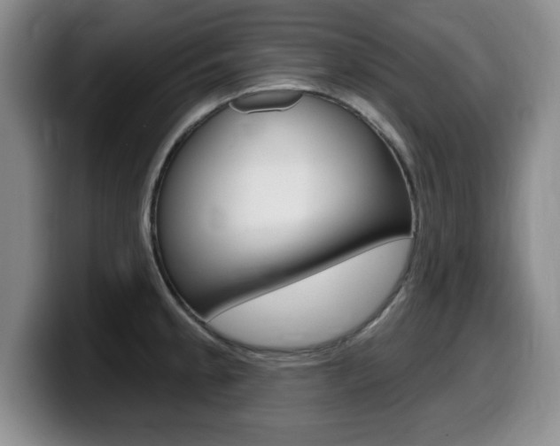 X0000099481189200805090827