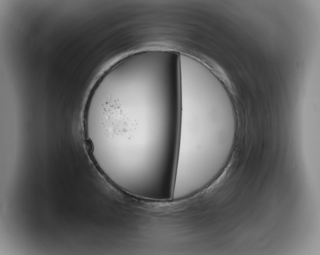 X0000099481192200805090827