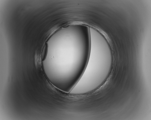 X0000099481193200805090827