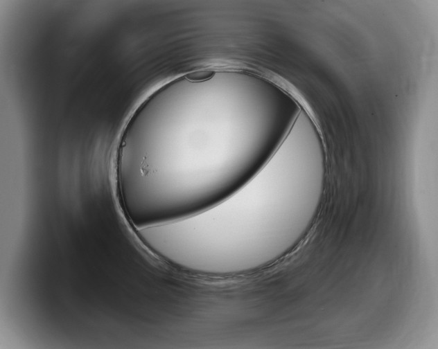 X0000099481195200805090827
