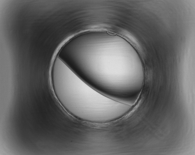 X0000099481196200805090827