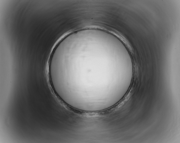 X0000099481198200805090827