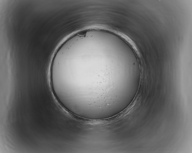 X0000099481199200805090827