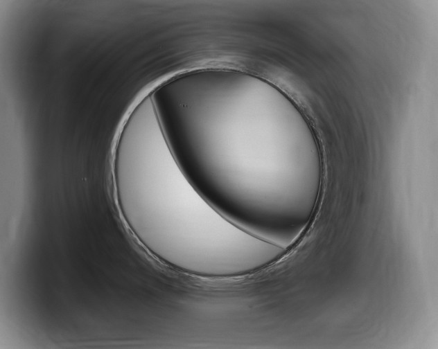 X0000099481200200805090827