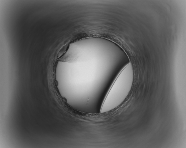 X0000099481201200805090826
