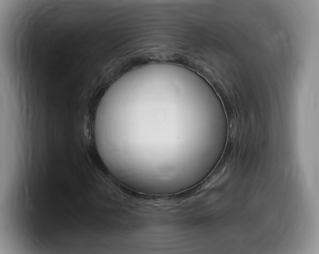 X0000099481202200805090826