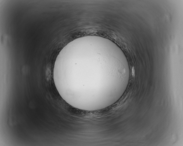X0000099481203200805090826