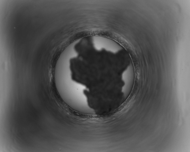 X0000099481204200805090826