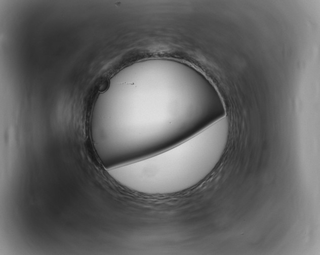 X0000099481205200805090826
