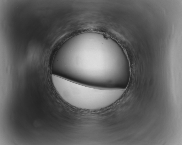 X0000099481206200805090826