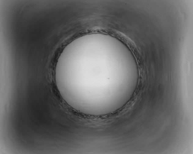 X0000099481207200805090826