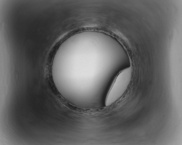 X0000099481208200805090826