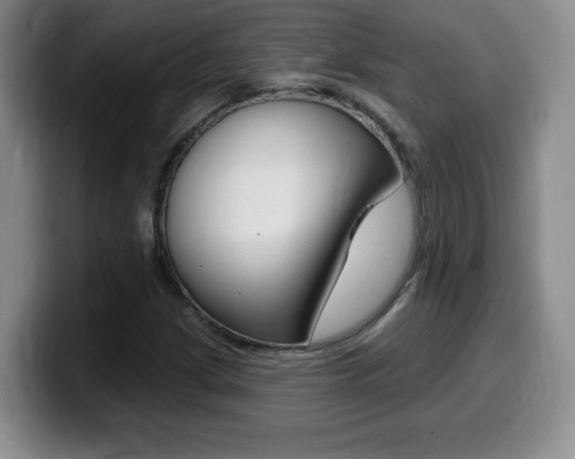 X0000099481209200805090826