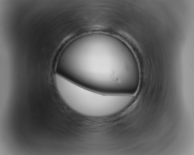 X0000099481210200805090826