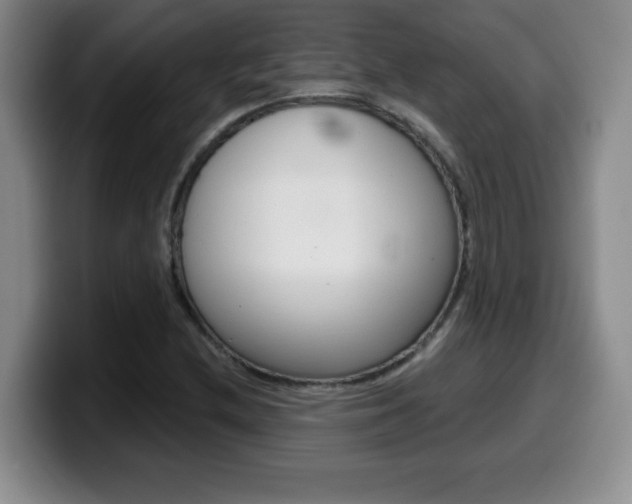 X0000099481212200805090826