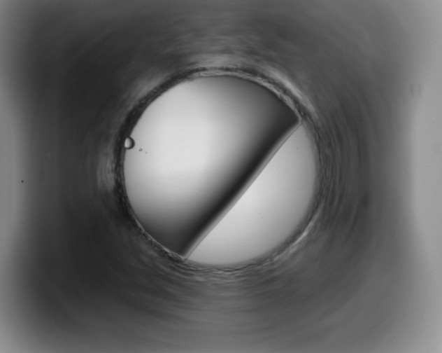 X0000099481213200805090826