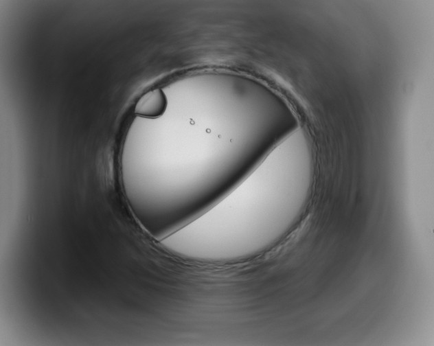 X0000099481214200805090826