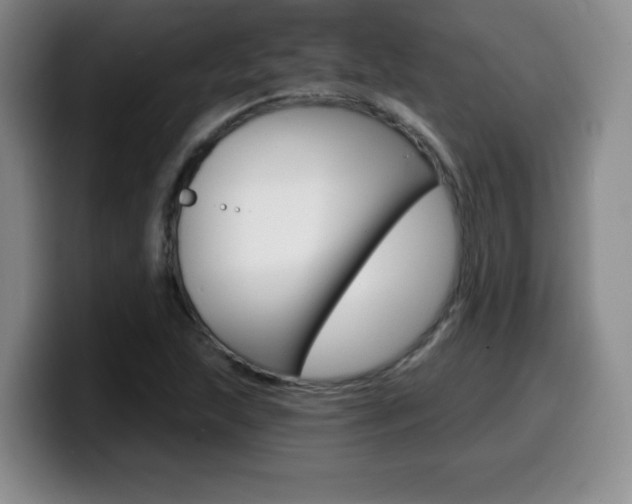 X0000099481215200805090826