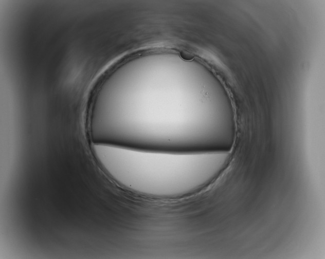 X0000099481216200805090826