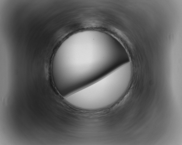 X0000099481217200805090826