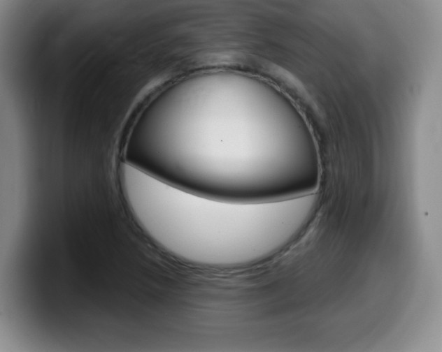 X0000099481218200805090826