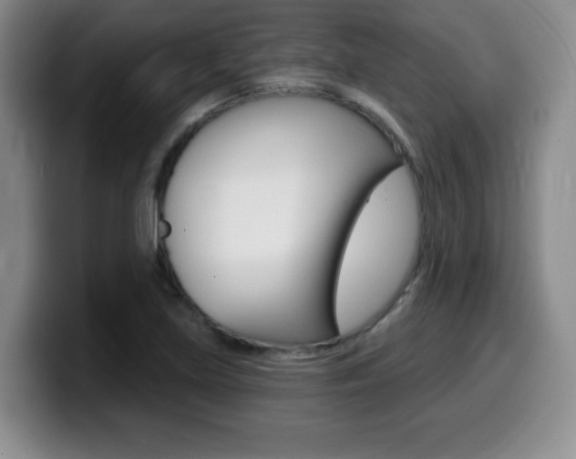 X0000099481219200805090826