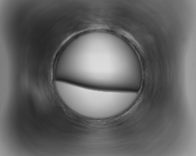 X0000099481220200805090827