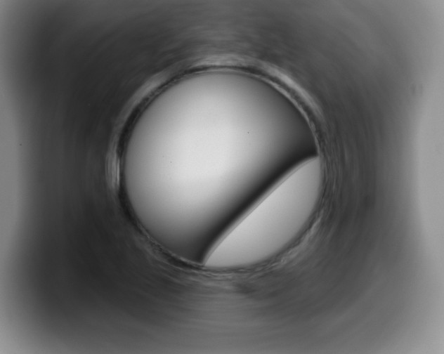 X0000099481221200805090827