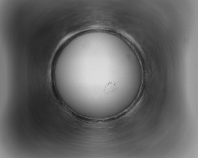 X0000099481222200805090827