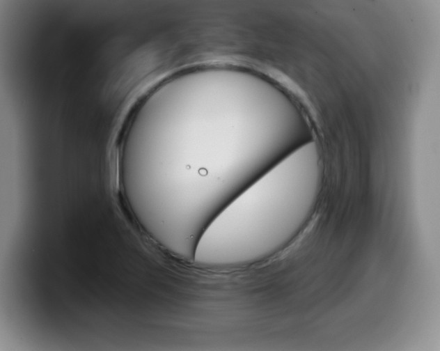 X0000099481223200805090827